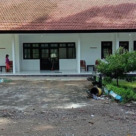 Bed and Breakfast Sukamade Adventure Tour Package Banyuwangi  Exterior foto
