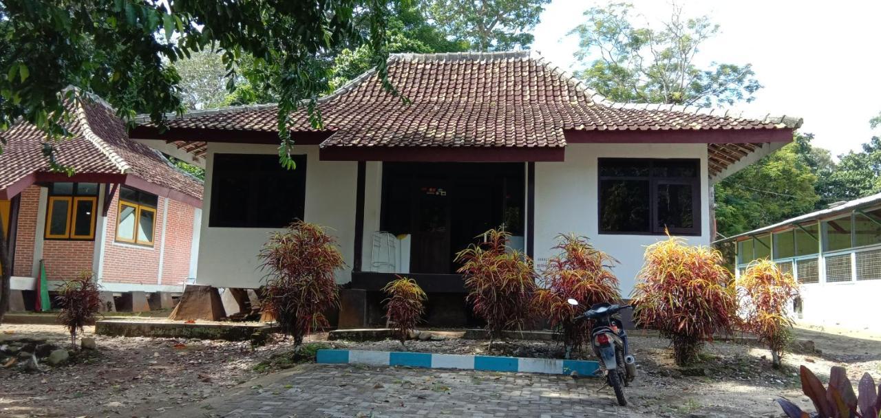Bed and Breakfast Sukamade Adventure Tour Package Banyuwangi  Exterior foto